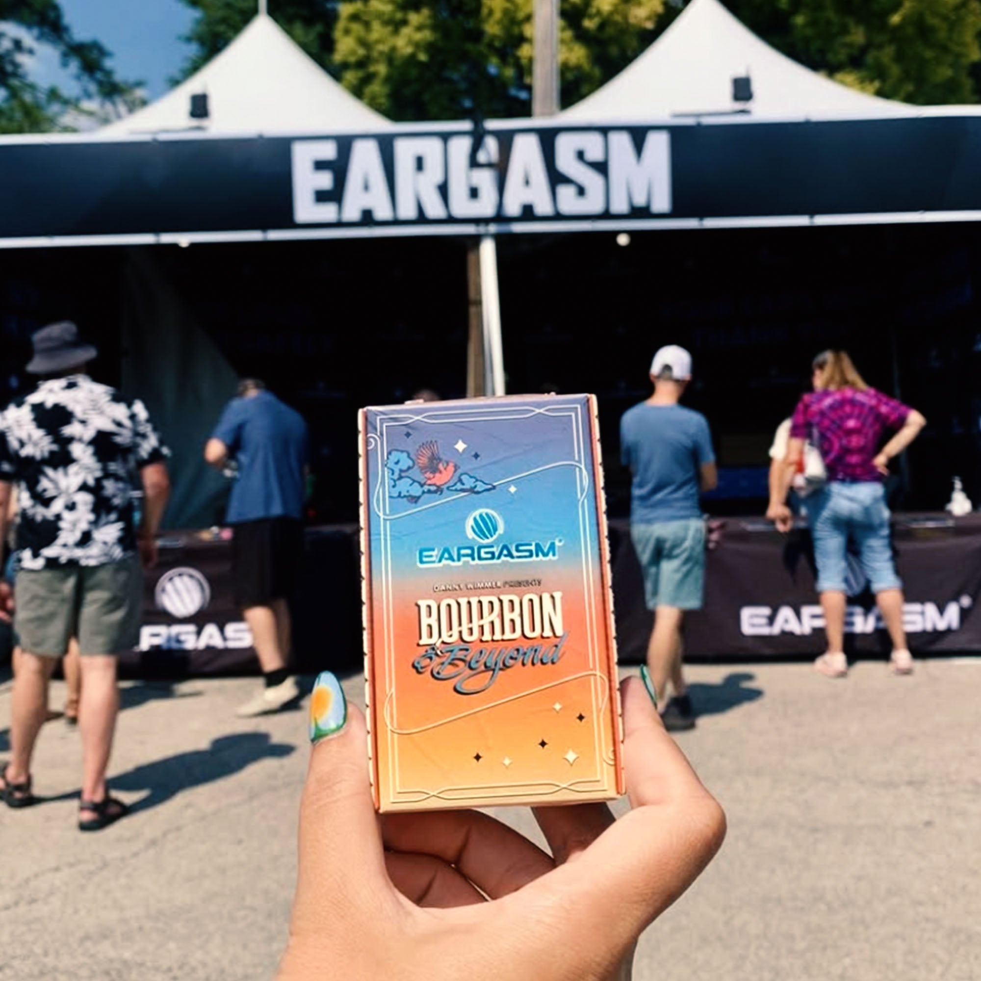 High Fidelity Earplugs