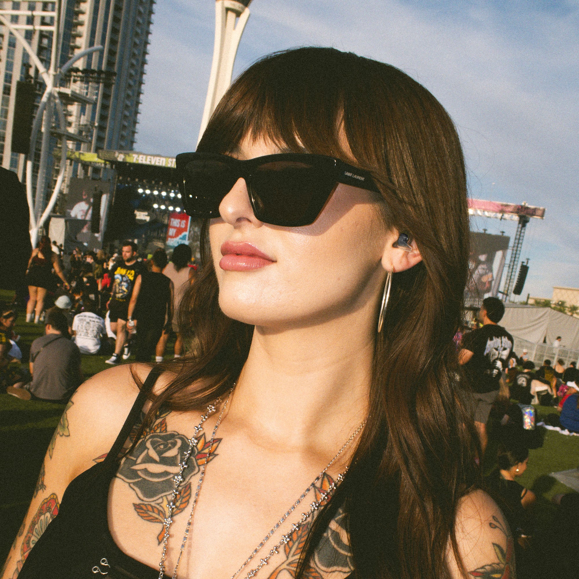 High Fidelity Earplugs