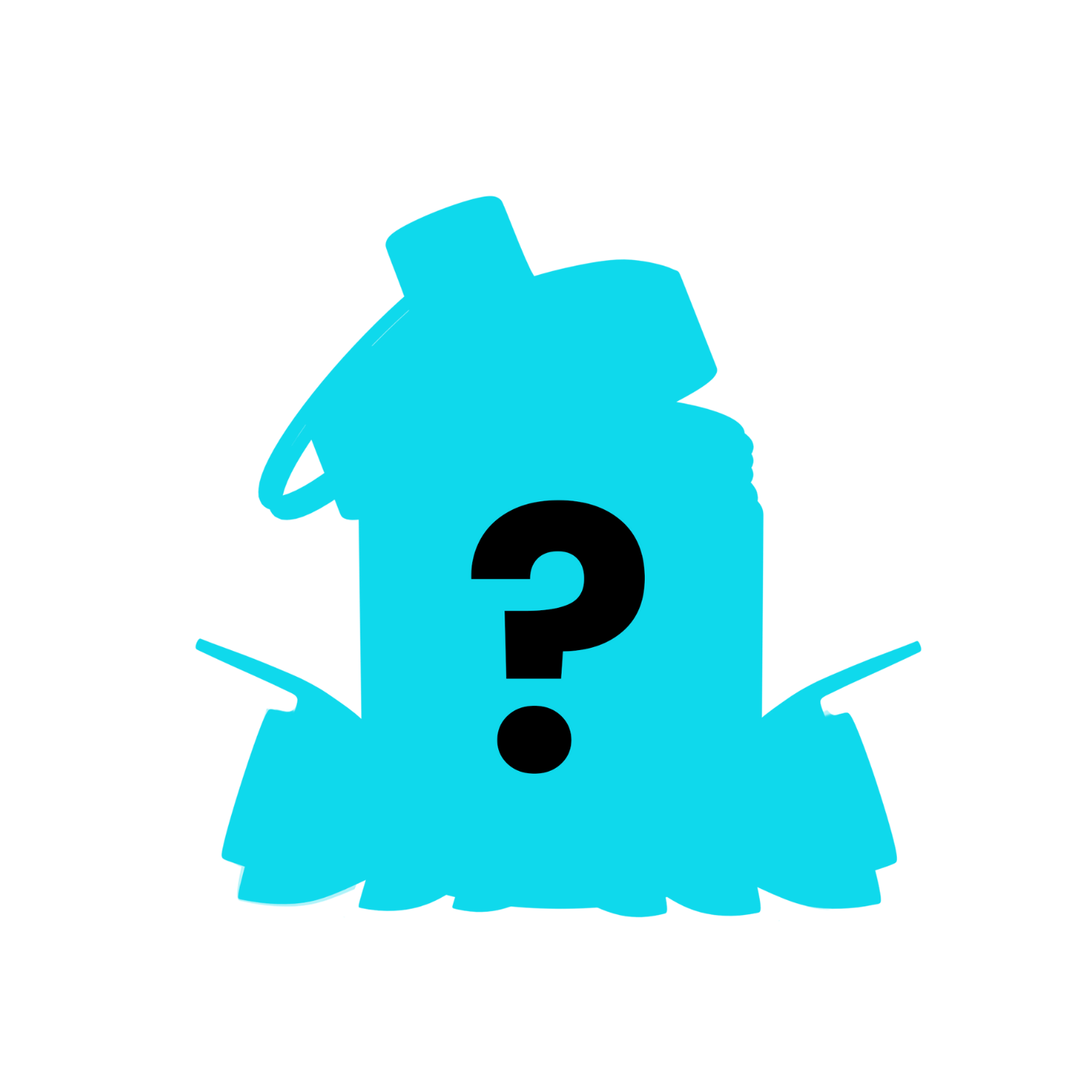 Mystery High Fidelity Earplug Gift